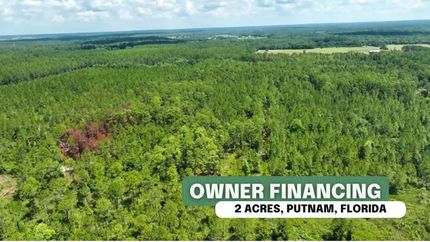 Undeveloped Land in Putnam County, Florida
