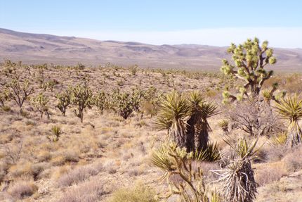 Farm and Ranch for sale in Mohave County, Arizona