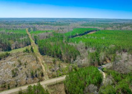 Timberland Property for sale in Chester County, South Carolina