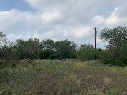 Farm and Ranch in Duval County, Texas