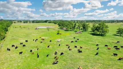Farm and Ranch for sale in Leon County, Texas