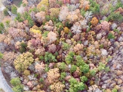 Land for sale in Morgan County, Alabama