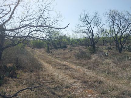 Recreational Property for sale in Llano County, Texas