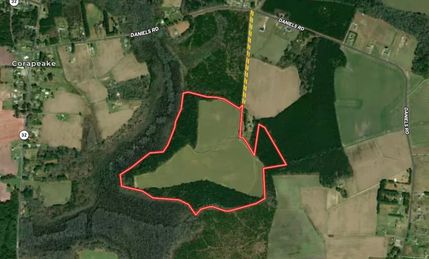 Timberland Property in Gates County, North Carolina