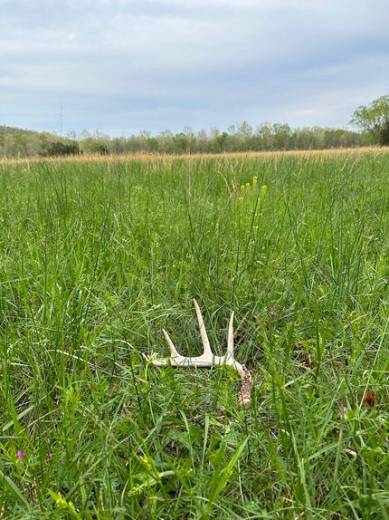 Recreational Property for sale in Wayne County, Missouri