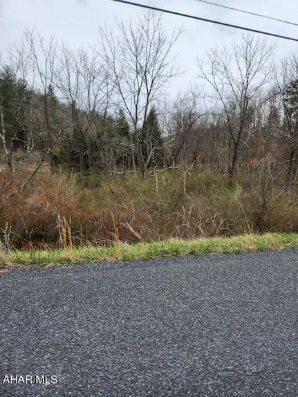 Undeveloped Land in Bedford County, Pennsylvania
