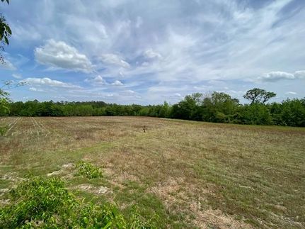 Undeveloped Land for sale in Dorchester County, South Carolina