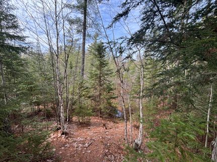 Land for sale in Chippewa County, Michigan