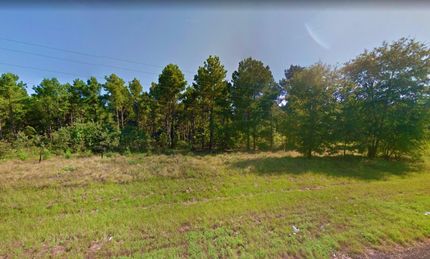 Undeveloped Land in Marion County, Texas