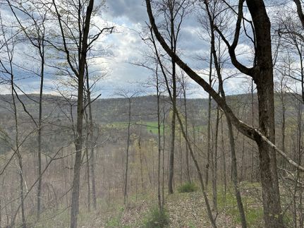 Farm and Ranch for sale in McKean County, Pennsylvania