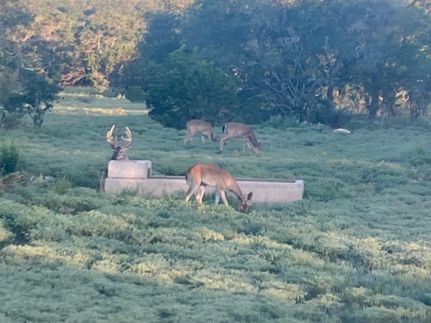 Farm and Ranch for sale in Kimble County, Texas
