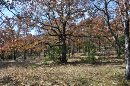 Undeveloped Land for sale in Pittsburg County, Oklahoma