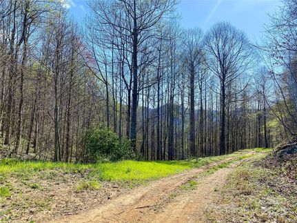 Land for sale in Madison County, North Carolina