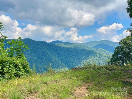 Farm and Ranch for sale in Madison County, North Carolina