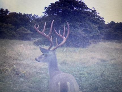 Farm and Ranch for sale in Mills County, Texas