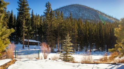 Farm and Ranch in Teller County, Colorado