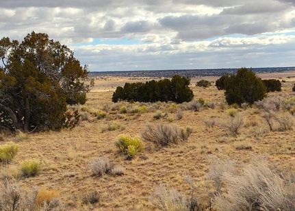 Undeveloped Land in Apache County, Arizona
