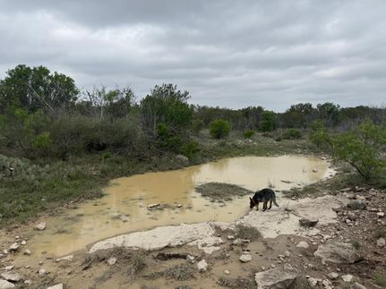 Hunting Property in Crockett County, Texas