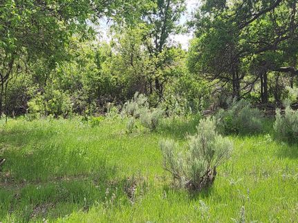 Land for sale in Donley County, Texas