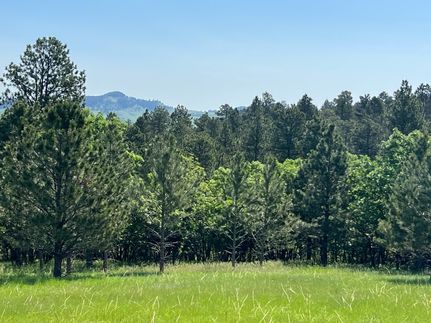 Undeveloped Land for sale in Lawrence County, South Dakota