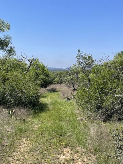 Undeveloped Land for sale in Comanche County, Texas