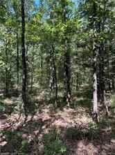 Land for sale in Le Flore County, Oklahoma