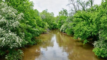 Farm and Ranch in Oglethorpe County, Georgia