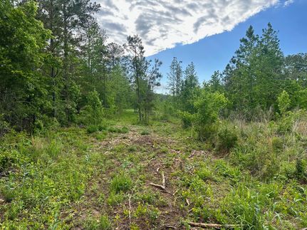 Recreational Property for sale in Bartow County, Georgia