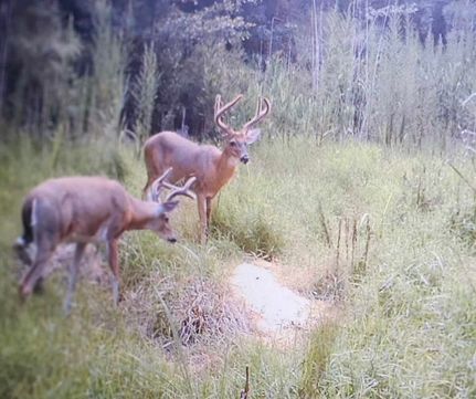 Recreational Property in Washington County, North Carolina