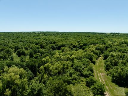 Farm and Ranch for sale in Clay County, Texas