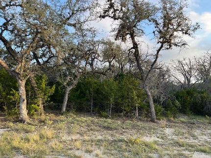 Undeveloped Land for sale in Real County, Texas