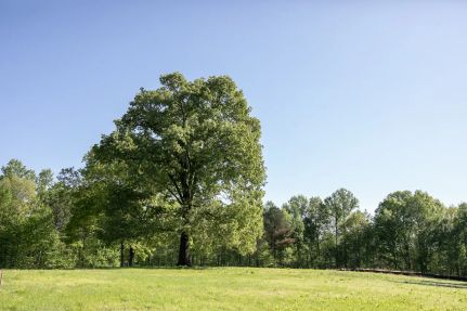Farm and Ranch for sale in Williamson County, Tennessee