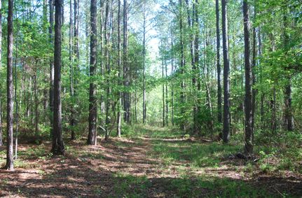 Land for sale in Bullock County, Alabama
