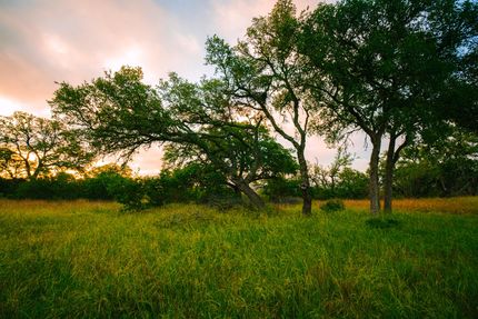 Farm and Ranch for sale in Comal County, Texas