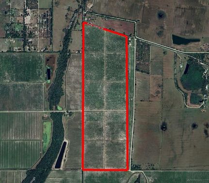 Land for sale in DeSoto County, Florida