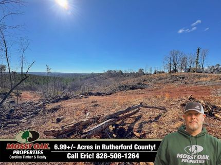 Undeveloped Land in Rutherford County, North Carolina