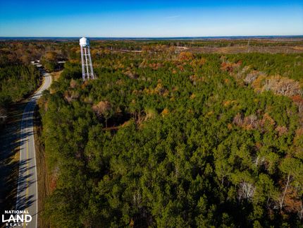 Timberland Property in Itawamba County, Mississippi