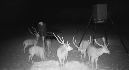 Recreational Property for sale in Edwards County, Texas