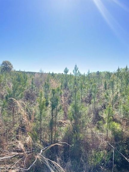 Land for sale in Screven County, Georgia