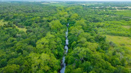 Farm and Ranch for sale in Bastrop County, Texas