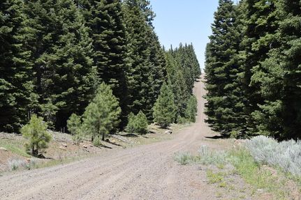 Undeveloped Land in Modoc County, California