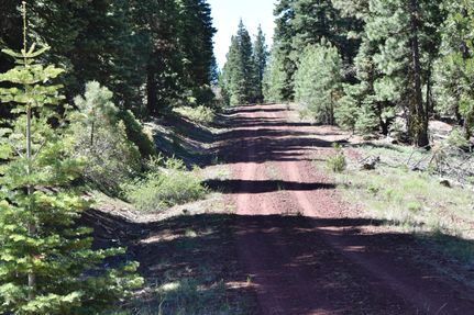 Undeveloped Land in Modoc County, California