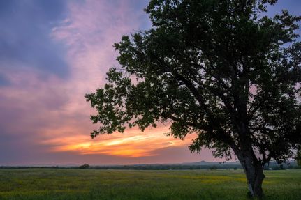 Land for sale in Kendall County, Texas