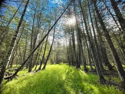 Farm and Ranch in Alcona County, Michigan