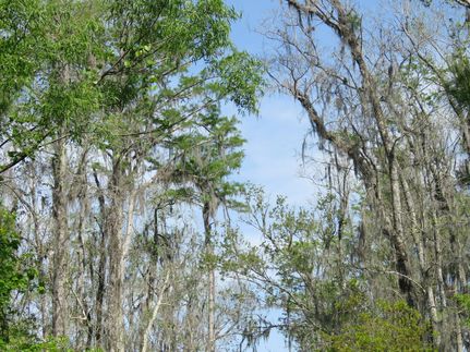 Farm and Ranch for sale in Madison County, Florida