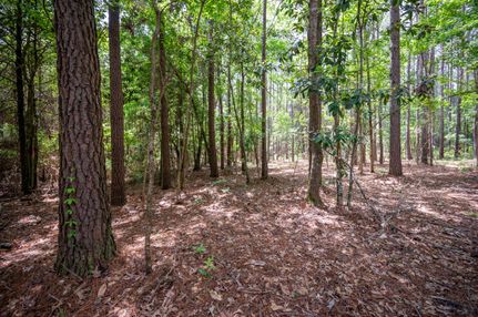 Land for sale in Tyler County, Texas