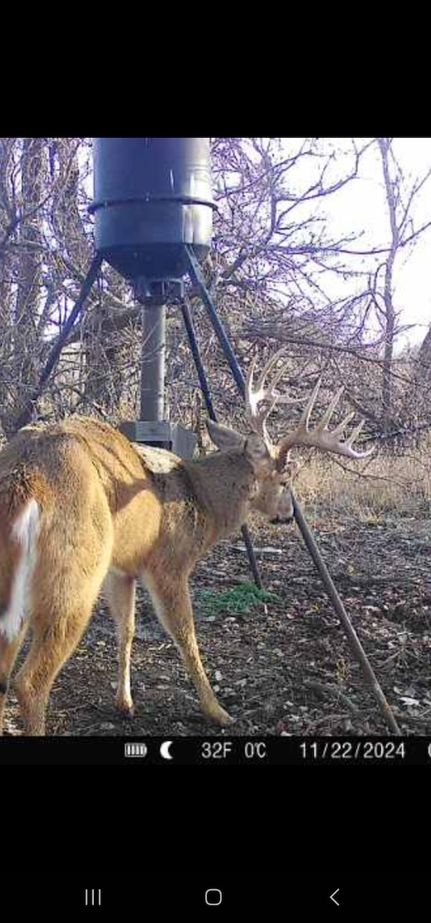Farm and Ranch in Russell County, Kansas