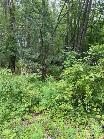 Homesite in Greene County, New York