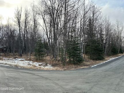 Undeveloped Land in Kenai Peninsula Borough, Alaska