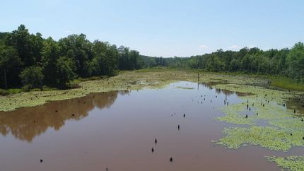 Farm and Ranch in Crenshaw County, Alabama